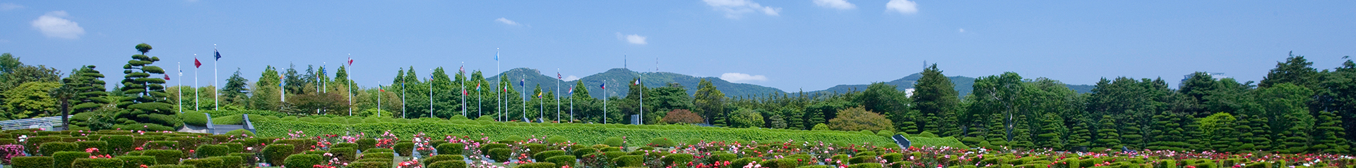 보령장묘 PC 비주얼 0